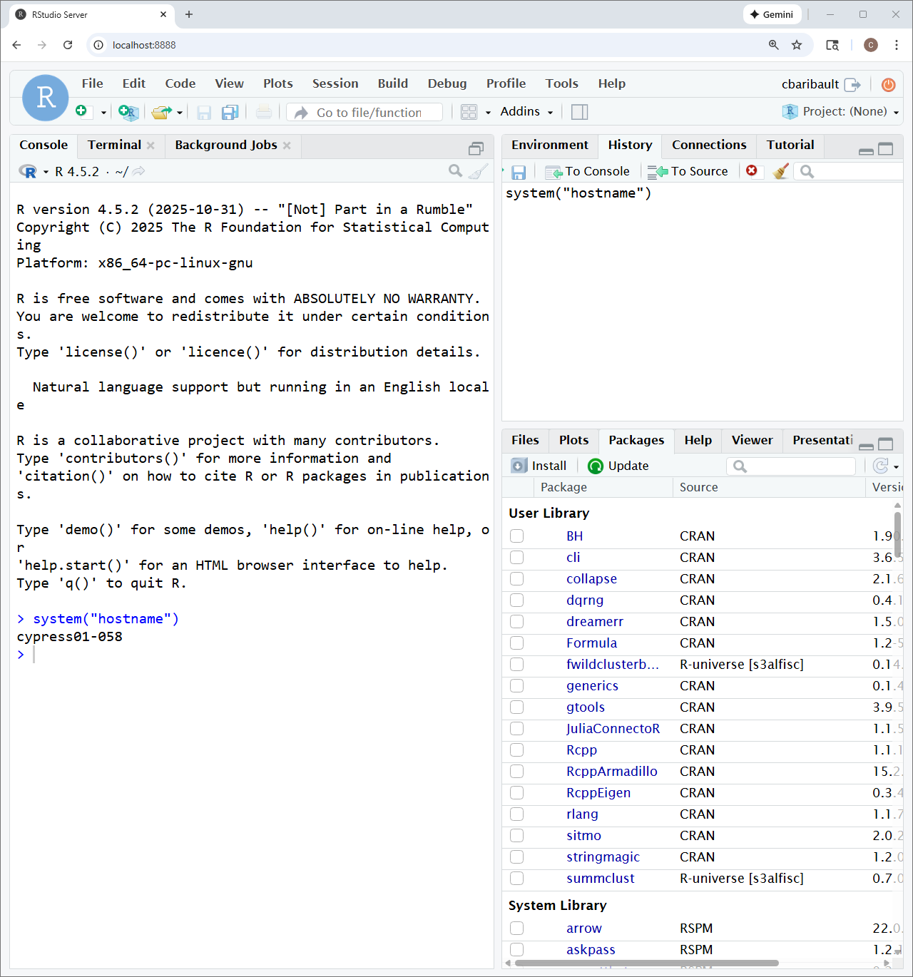 RStudio interface in browser running